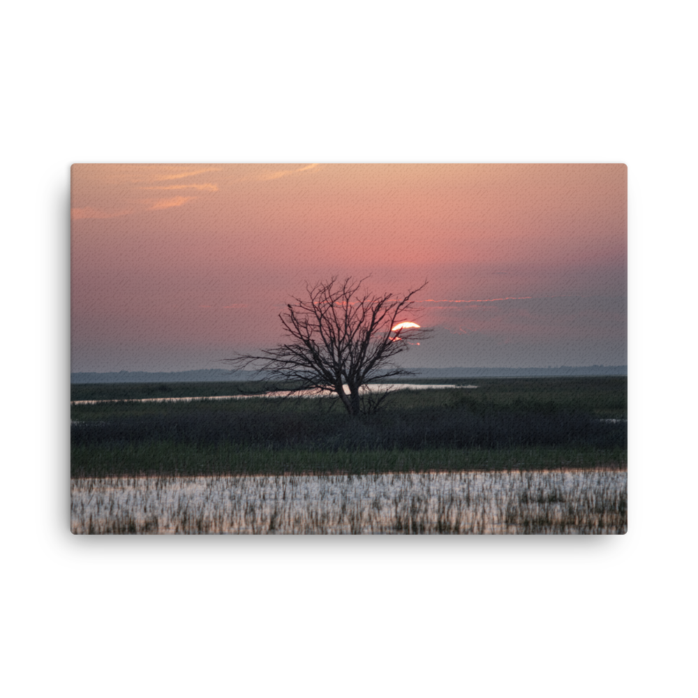 Thin canvas print - Sunset Tree